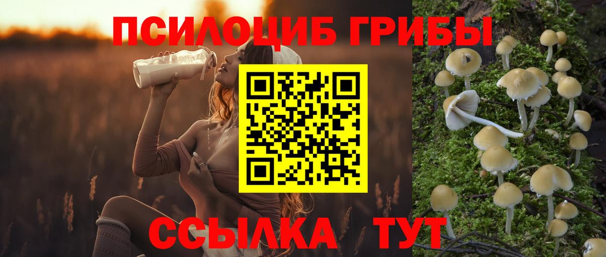Псилоцибиновые грибы Psilocybine cubensis Ипатово